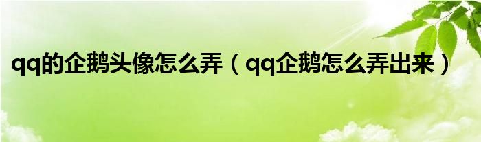 qq的企鵝頭像怎么弄（qq企鵝怎么弄出來(lái)）
