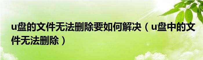 u盤的文件無法刪除要如何解決（u盤中的文件無法刪除）