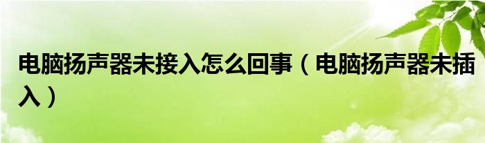 電腦揚聲器未接入怎么回事（電腦揚聲器未插入）