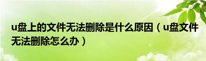 u盤上的文件無(wú)法刪除是什么原因（u盤文件無(wú)法刪除怎么辦）