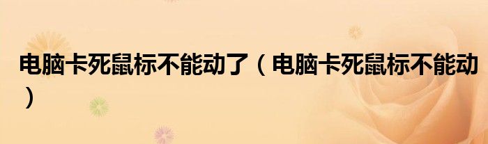 電腦卡死鼠標(biāo)不能動了（電腦卡死鼠標(biāo)不能動）