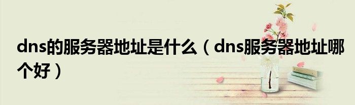 dns的服務(wù)器地址是什么（dns服務(wù)器地址哪個好）