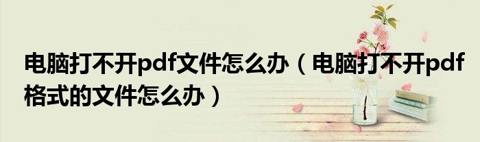 電腦打不開pdf文件怎么辦（電腦打不開pdf格式的文件怎么辦）