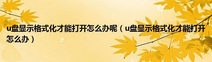 u盤顯示格式化才能打開怎么辦呢（u盤顯示格式化才能打開怎么辦）