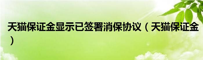 天貓保證金顯示已簽署消保協(xié)議（天貓保證金）