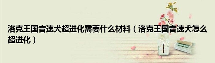 洛克王國音速犬超進化需要什么材料（洛克王國音速犬怎么超進化）