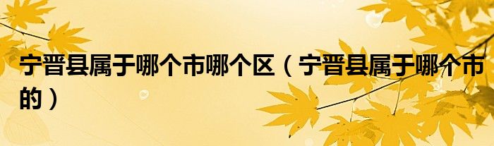 寧晉縣屬于哪個(gè)市哪個(gè)區(qū)（寧晉縣屬于哪個(gè)市的）