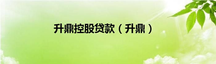 升鼎控股貸款（升鼎）