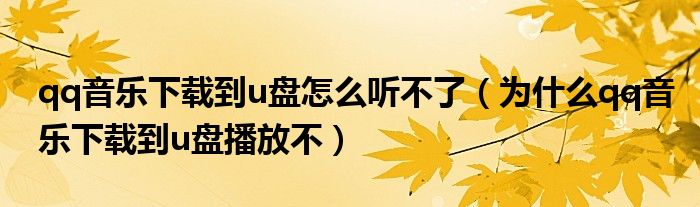 qq音樂下載到u盤怎么聽不了（為什么qq音樂下載到u盤播放不）