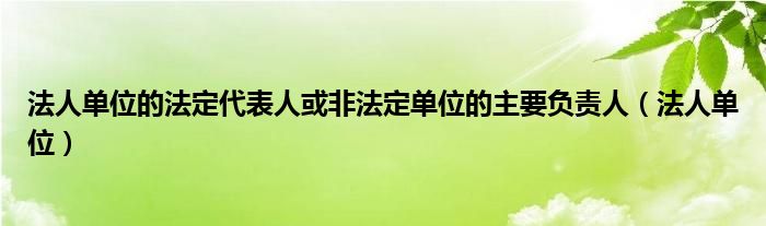 法人單位的法定代表人或非法定單位的主要負責人（法人單位）