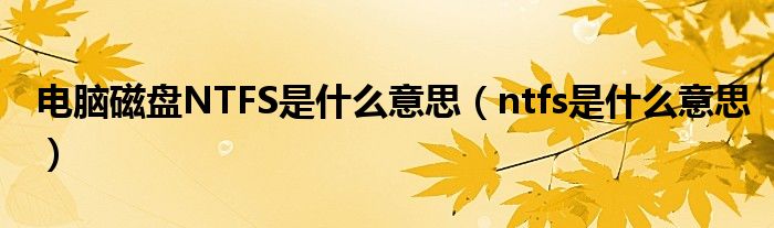 電腦磁盤NTFS是什么意思（ntfs是什么意思）
