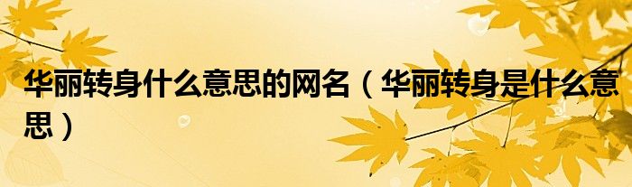 華麗轉(zhuǎn)身什么意思的網(wǎng)名（華麗轉(zhuǎn)身是什么意思）