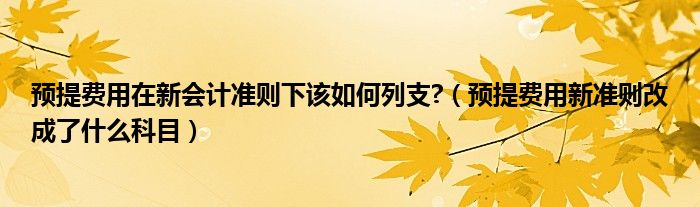 預(yù)提費(fèi)用在新會(huì)計(jì)準(zhǔn)則下該如何列支?（預(yù)提費(fèi)用新準(zhǔn)則改成了什么科目）