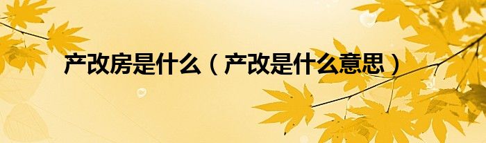 產(chǎn)改房是什么（產(chǎn)改是什么意思）