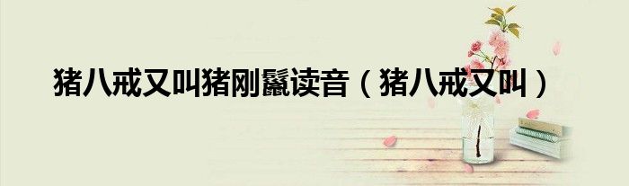 豬八戒又叫豬剛鬣讀音（豬八戒又叫）