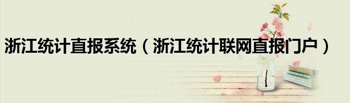 浙江統(tǒng)計(jì)直報(bào)系統(tǒng)（浙江統(tǒng)計(jì)聯(lián)網(wǎng)直報(bào)門(mén)戶）
