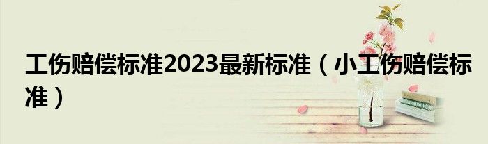 工傷賠償標(biāo)準(zhǔn)2023最新標(biāo)準(zhǔn)（小工傷賠償標(biāo)準(zhǔn)）