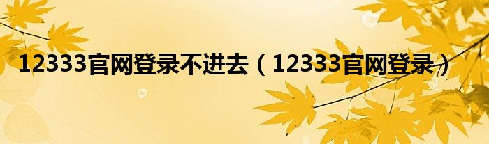 12333官網(wǎng)登錄不進(jìn)去（12333官網(wǎng)登錄）
