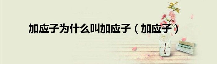 加應子為什么叫加應子（加應子）