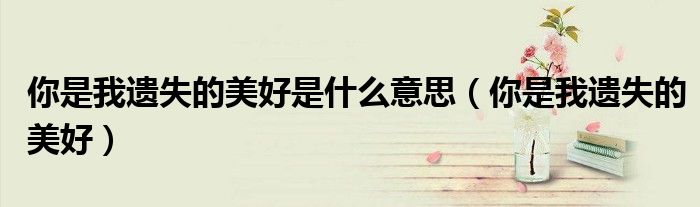 你是我遺失的美好是什么意思（你是我遺失的美好）