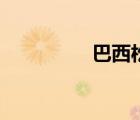 巴西松子樹(shù)（巴西松子）
