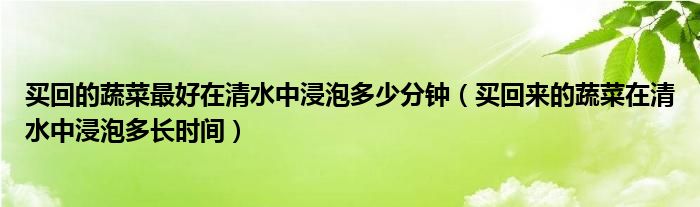 買回的蔬菜最好在清水中浸泡多少分鐘（買回來的蔬菜在清水中浸泡多長時(shí)間）