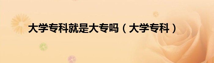 大學(xué)?？凭褪谴髮幔ù髮W(xué)專科）