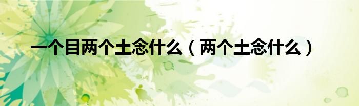 一個目兩個土念什么（兩個土念什么）