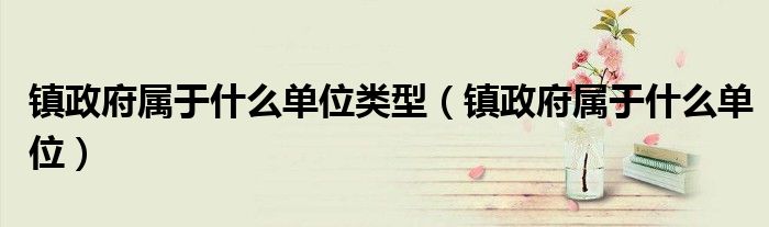 鎮(zhèn)政府屬于什么單位類型（鎮(zhèn)政府屬于什么單位）