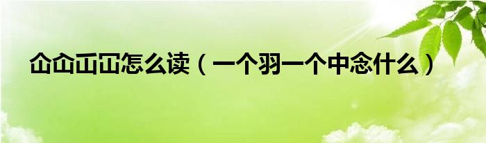 仚屳屲冚怎么讀（一個羽一個中念什么）