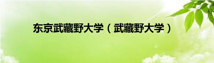 東京武藏野大學(xué)（武藏野大學(xué)）