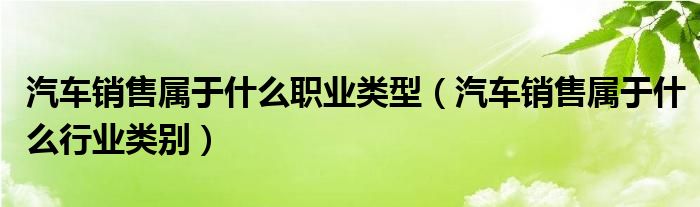 汽車銷售屬于什么職業(yè)類型（汽車銷售屬于什么行業(yè)類別）