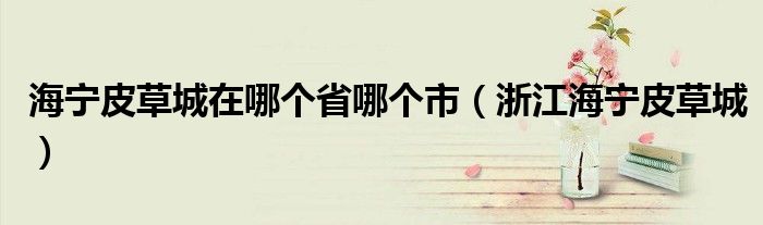 海寧皮草城在哪個(gè)省哪個(gè)市（浙江海寧皮草城）