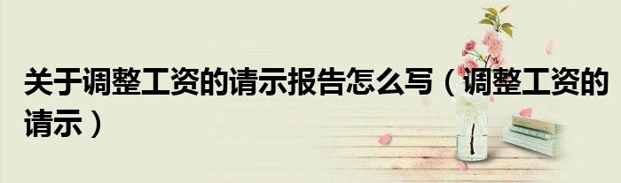 關(guān)于調(diào)整工資的請示報告怎么寫（調(diào)整工資的請示）