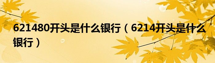 621480開頭是什么銀行（6214開頭是什么銀行）