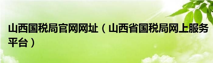山西國稅局官網(wǎng)網(wǎng)址（山西省國稅局網(wǎng)上服務(wù)平臺）