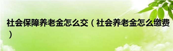 社會保障養(yǎng)老金怎么交（社會養(yǎng)老金怎么繳費(fèi)）