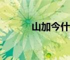 山加今什么字怎么讀（山加今）
