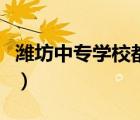 濰坊中專學(xué)校都有哪些（濰坊中專學(xué)校有哪些）