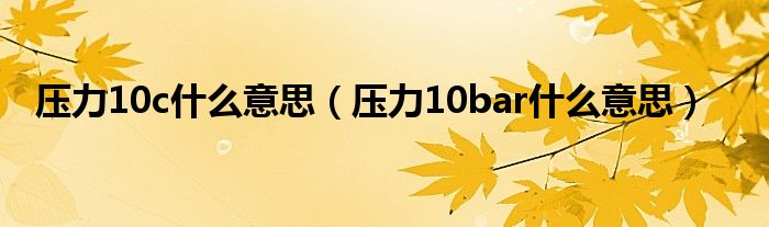 壓力10c什么意思（壓力10bar什么意思）
