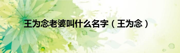 王為念老婆叫什么名字（王為念）
