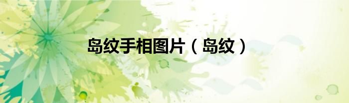 島紋手相圖片（島紋）