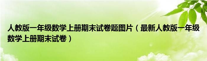 人教版一年級(jí)數(shù)學(xué)上冊(cè)期末試卷題圖片（最新人教版一年級(jí)數(shù)學(xué)上冊(cè)期末試卷）