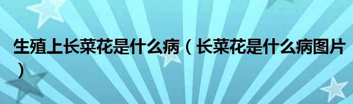 生殖上長菜花是什么?。ㄩL菜花是什么病圖片）