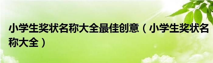 小學(xué)生獎(jiǎng)狀名稱大全最佳創(chuàng)意（小學(xué)生獎(jiǎng)狀名稱大全）