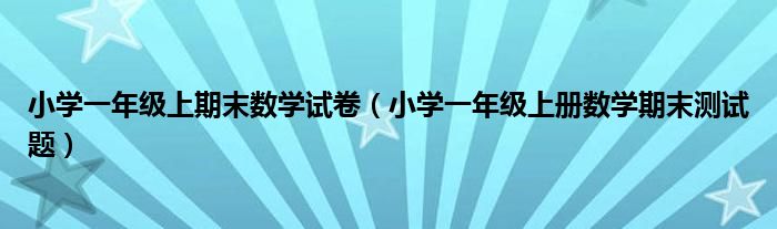 小學(xué)一年級(jí)上期末數(shù)學(xué)試卷（小學(xué)一年級(jí)上冊(cè)數(shù)學(xué)期末測(cè)試題）