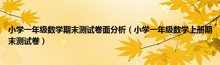 小學(xué)一年級(jí)數(shù)學(xué)期末測(cè)試卷面分析（小學(xué)一年級(jí)數(shù)學(xué)上冊(cè)期末測(cè)試卷）