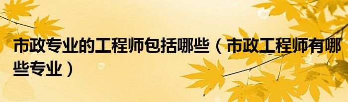 市政專業(yè)的工程師包括哪些（市政工程師有哪些專業(yè)）