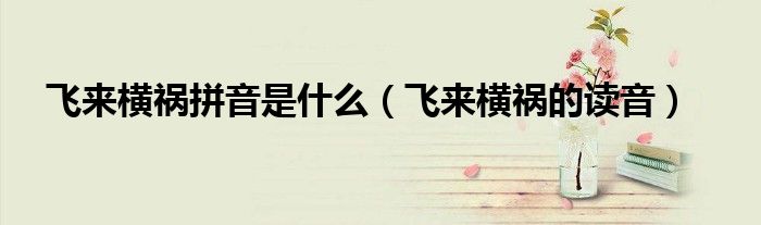 飛來橫禍拼音是什么（飛來橫禍的讀音）