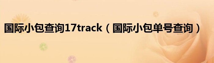 國際小包查詢17track（國際小包單號(hào)查詢）